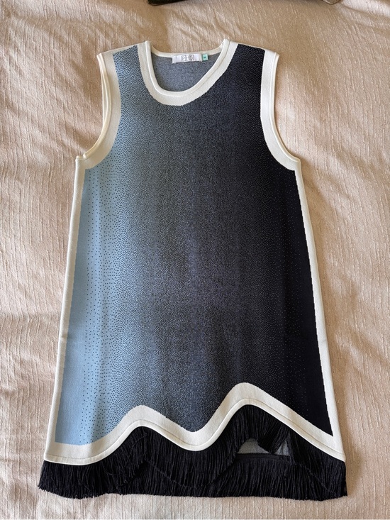 PH5 Dresses & Skirts - PH5 gradient print mini dress - size Small
